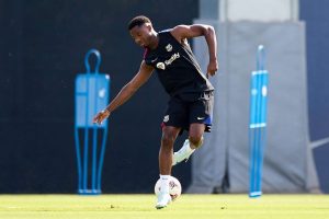 aop_fatiansu20240719