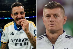 aop_joselukrooskuvitus