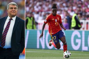 aop_laportawilliamskuvitus