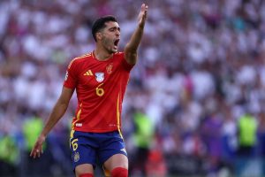 aop_merinomikel20240705