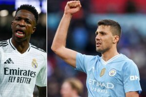 aop_vinirodrikuvitus