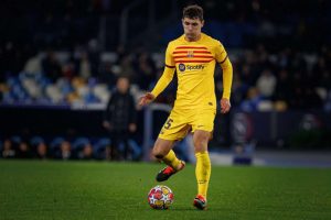 aop_ChristensenAndreas20241124