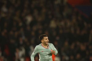 aop_correaangel20241106