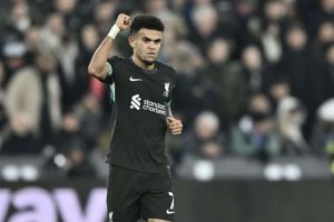 aop_diazluis20241229