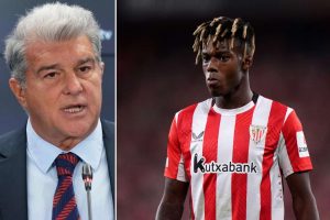 aop_laportawilliamskuvitus