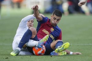 aop_torresferran20250511