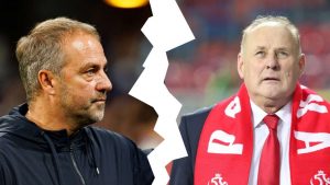 aop_flickhansitomaszewskijankuvitus