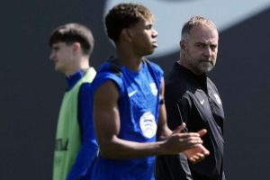 aop_flickhansiyamallamine20250408