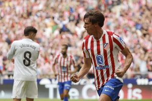 aop_lenormandrobin20250927