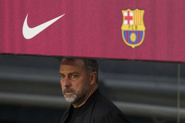 aop_FlickHansi20251129