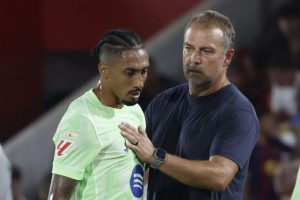 aop_raphinhaflick20250816