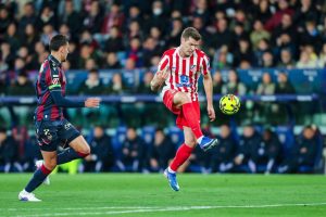 aop_Sorloth10.16497847v