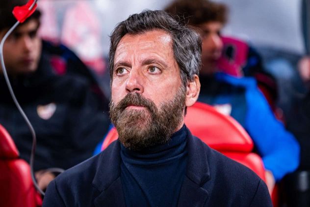 aop_sanchezfloresquique20240204