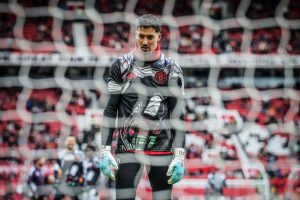 aop_Bayindir2026